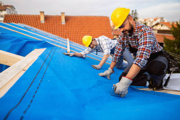 Gutter Installation and Roofing in Oldsmar, FL