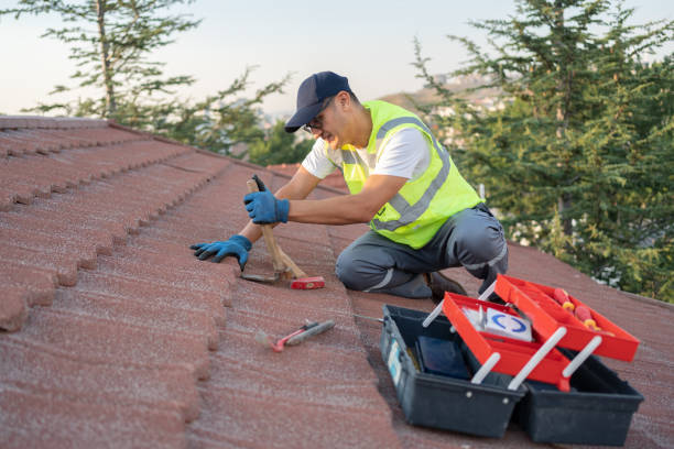 Roof Gutter Cleaning in Oldsmar, FL