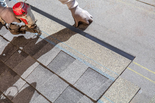 Best Shingle Roofing Installation  in Oldsmar, FL