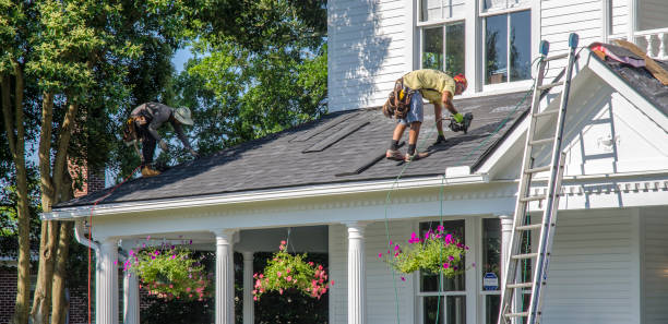 Roof Gutter Cleaning in Oldsmar, FL