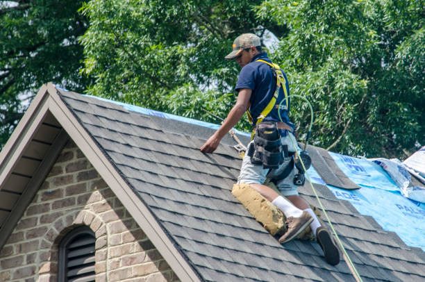 Quick and Trustworthy Emergency Roof Repair Services in Oldsmar, FL